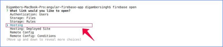 Firebase Open Database Hosting Configuration
