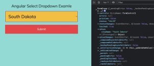 Angular 13 Select Dropdown with Reactive Forms Examples