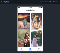 Ionic 4 Responsive Image Gallery with Grid