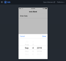 Adding Datepicker in Ionic 4 Template