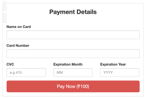 Laravel 7 Stripe Payment Gateway
