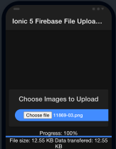 Ionic 5 Firebase File/Image Upload with Progress Bar Examlpe