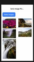 Ionic multiple image selection example