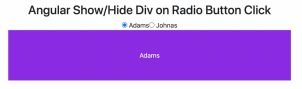How to Show Hide Div on Radio Button Click in Angular
