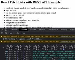 How to Use Fetch API to Get Data in React with REST API