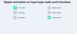 Ripple Animation on Input Type Radio and Checkbox